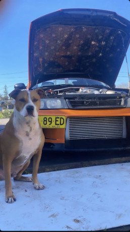 skyline-gtr-r33-big-0